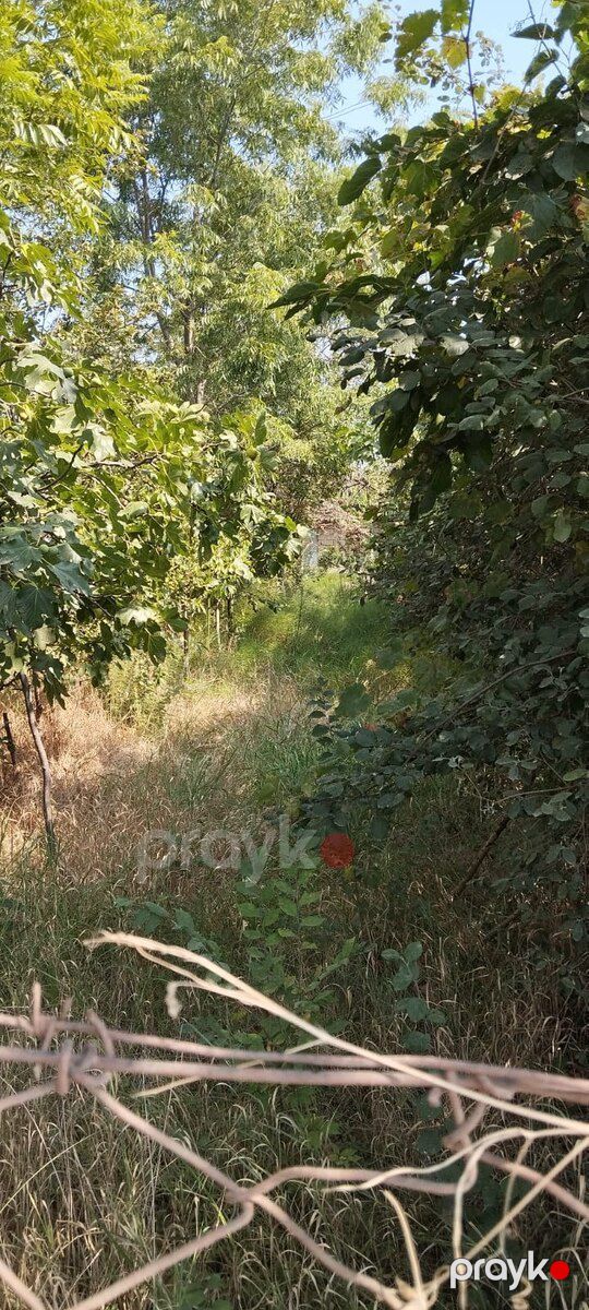 10 sot torpaq sahəsi, Lənkəran ş — Torpaq, Lənkəran (4)