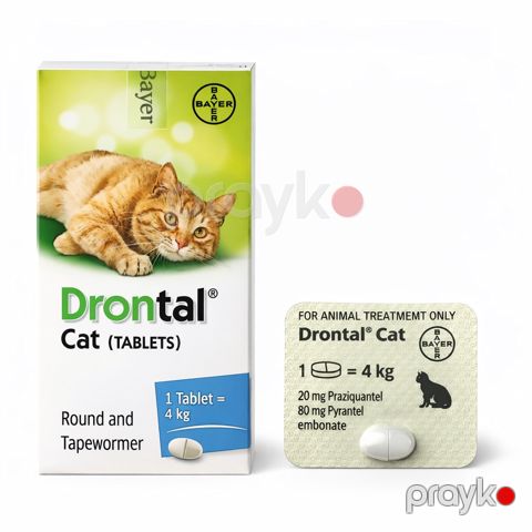 Pişiklər üçün parazitlərə qarşı həblər Drontal — Bakı