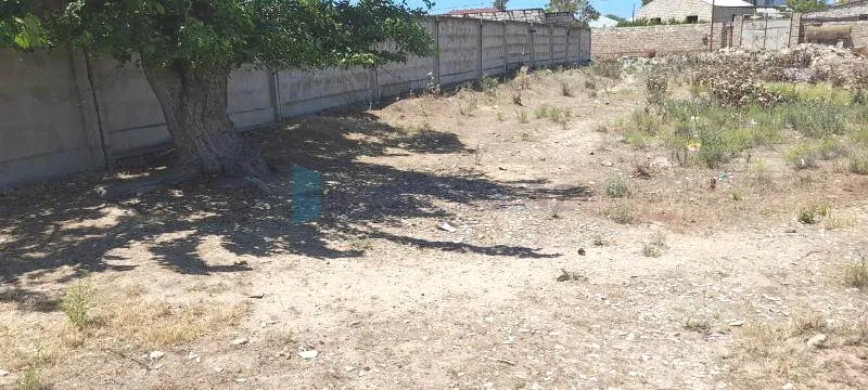 Satılır: Torpaq, Sabunçu r., 12.00 sot — Torpaq, Maştağa (2)