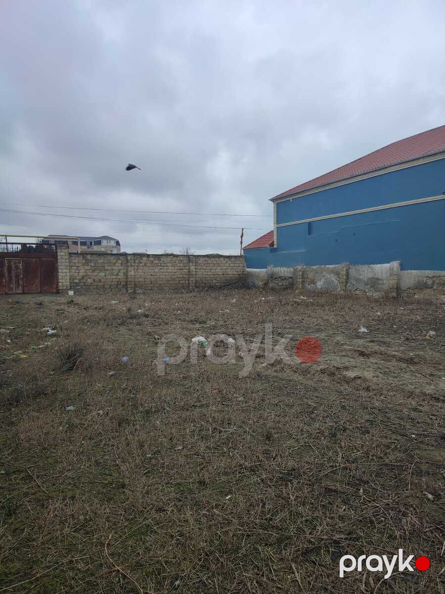 Satılır torpaq 240 sot — Torpaq, Bakı (2)