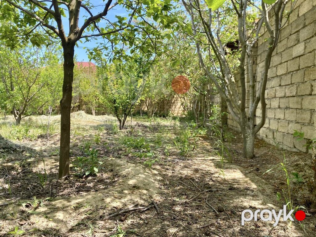 6 sot, Tikinti, Kupça (Çıxarış) — Torpaq, Digah (5)