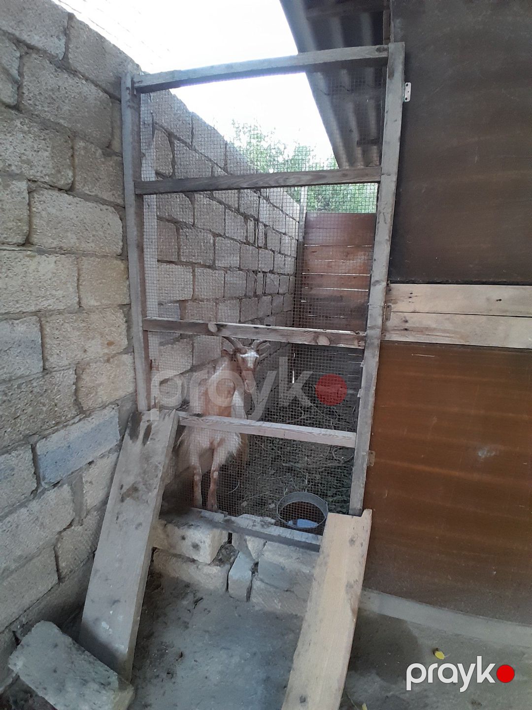 Satılır 4 otaqlı həyət evi/bağ evi 200 m² — Ev, villa, Bakı (10)