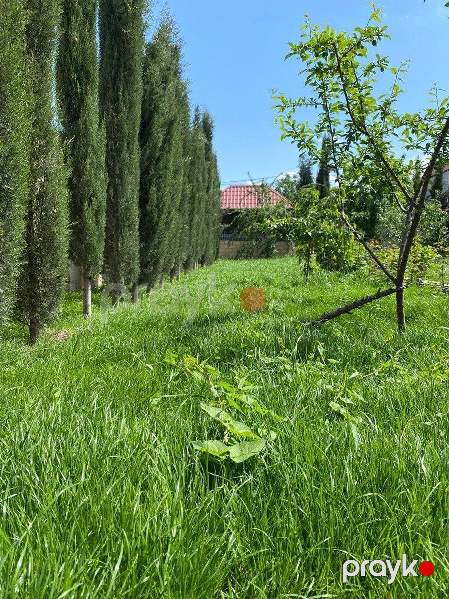 Satılır 7 otaqlı həyət evi/bağ evi 420 m² — Ev, villa, Quba (5)