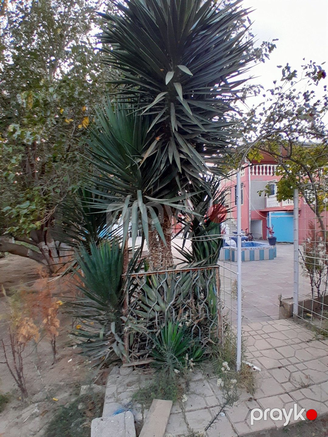 Satılır 4 otaqlı həyət evi/bağ evi 200 m² — Ev, villa, Bakı (8)