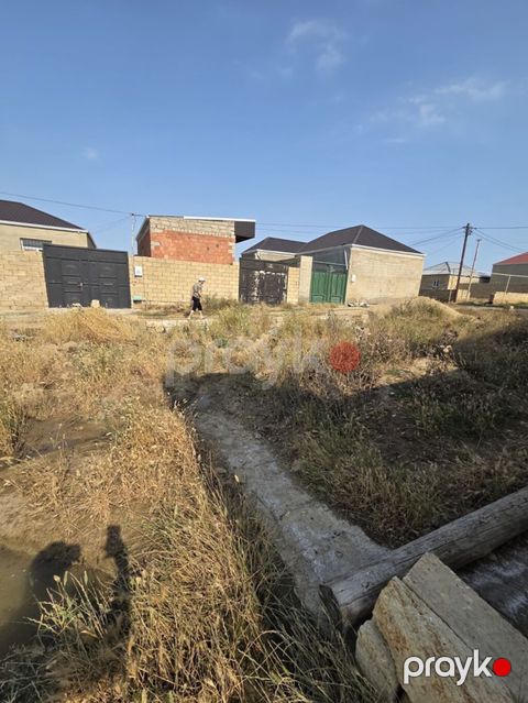 Tikinti — Fatmayı