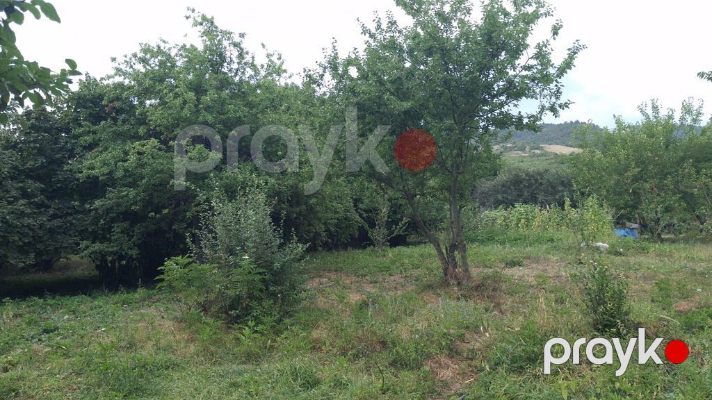 Torpaq sahəsi 20 sotdur.İsmayıllı rayonu Diyallı kəndi ərazisində — Torpaq, İsmayıllı (4)