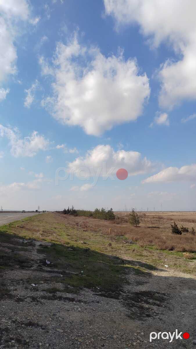 Satılır torpaq 350 sot — Torpaq, Bakı (3)