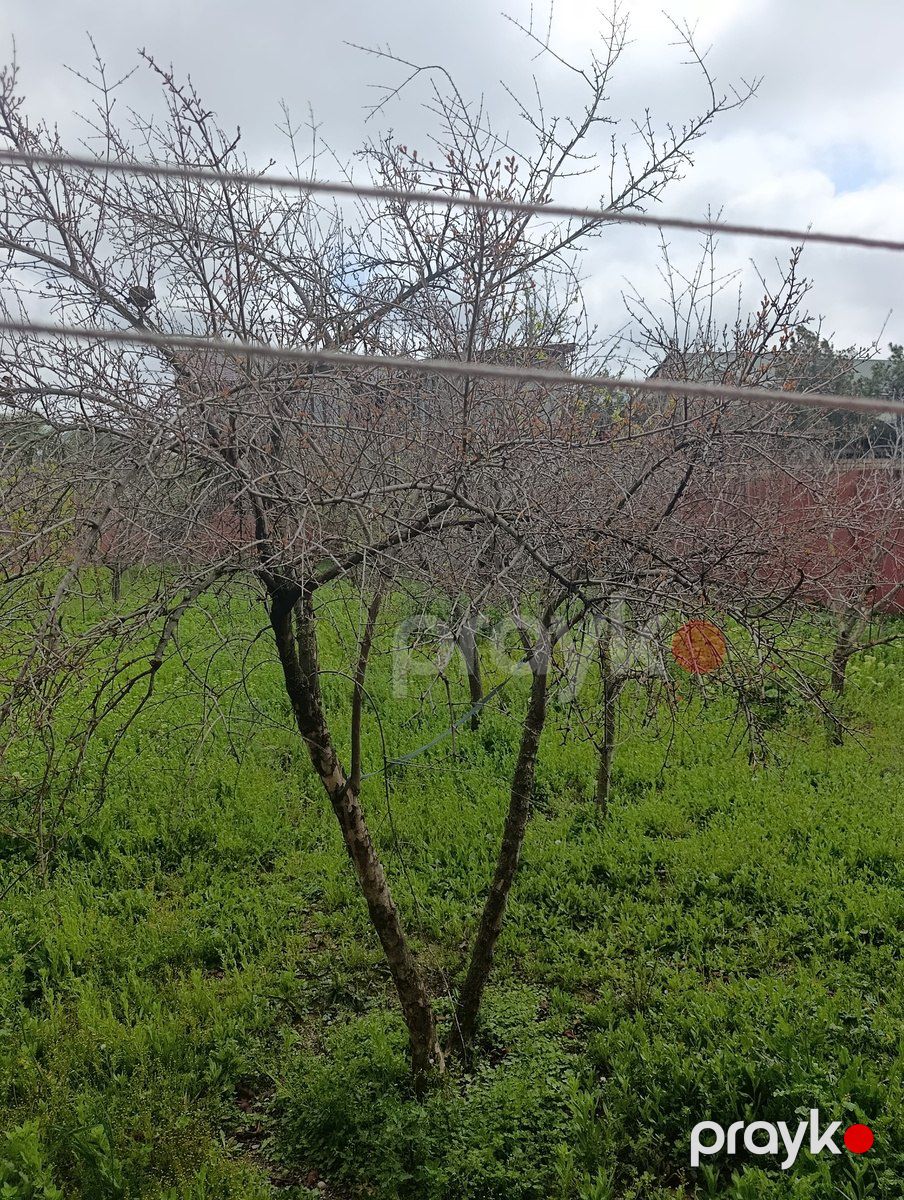 Satılır torpaq 12 sot — Torpaq, Bakı (3)