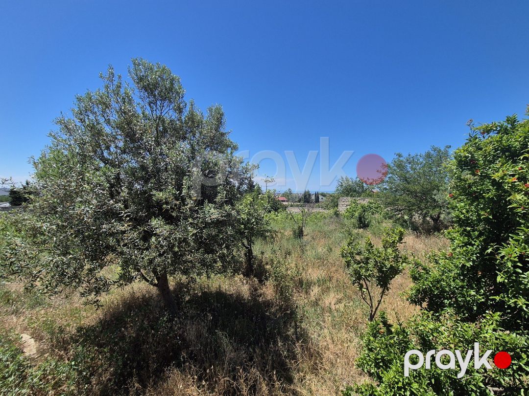 Satılır torpaq 12 sot — Torpaq, Bakı (2)