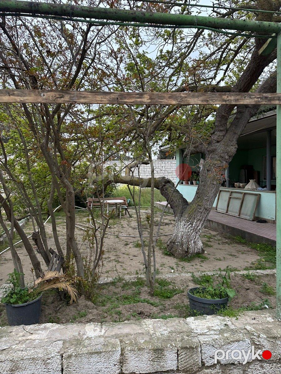 Satılır torpaq 4 sot — Torpaq, Bakı (3)