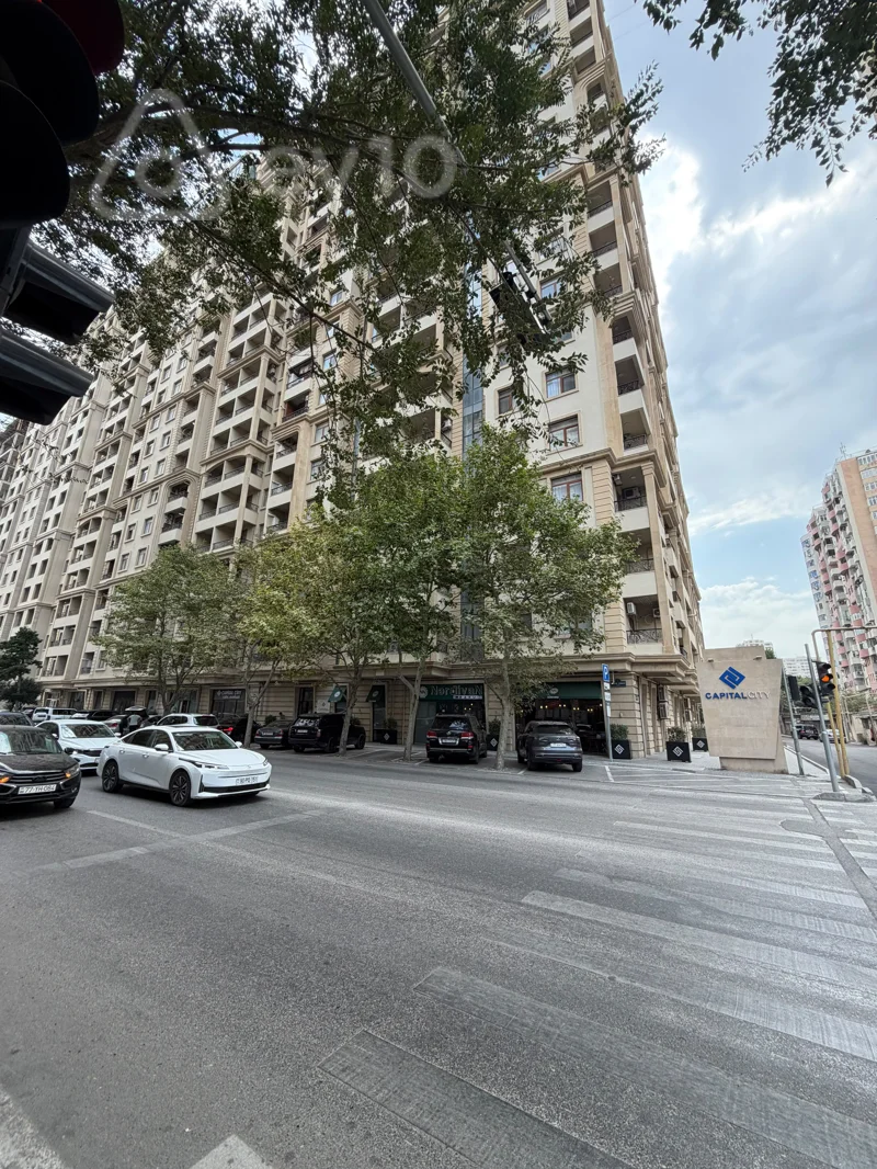 2 otaqlı mənzil, 90 m², Nəsib bəy Yusifbəyli küçəsi 26 — kirayə — Mənzil, Bakı (12)