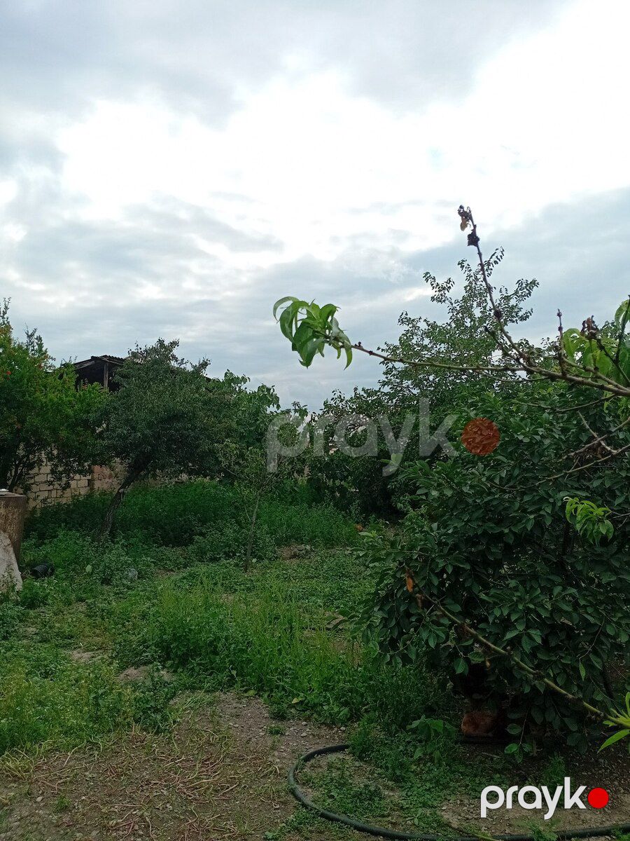 Həyət evi, Gəncə ş — Ev, villa, Gəncə (7)