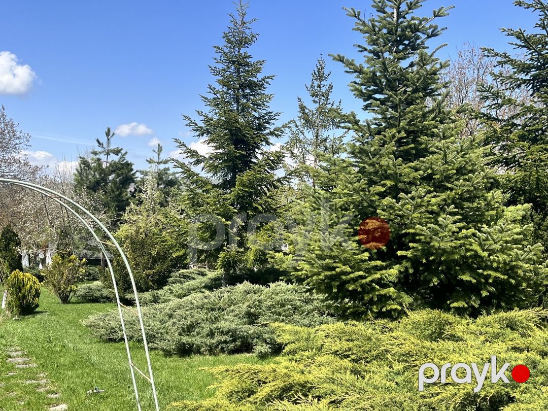 Satılır 4 otaqlı həyət evi/bağ evi 300 m² — Ev, villa, Şamaxı (2)