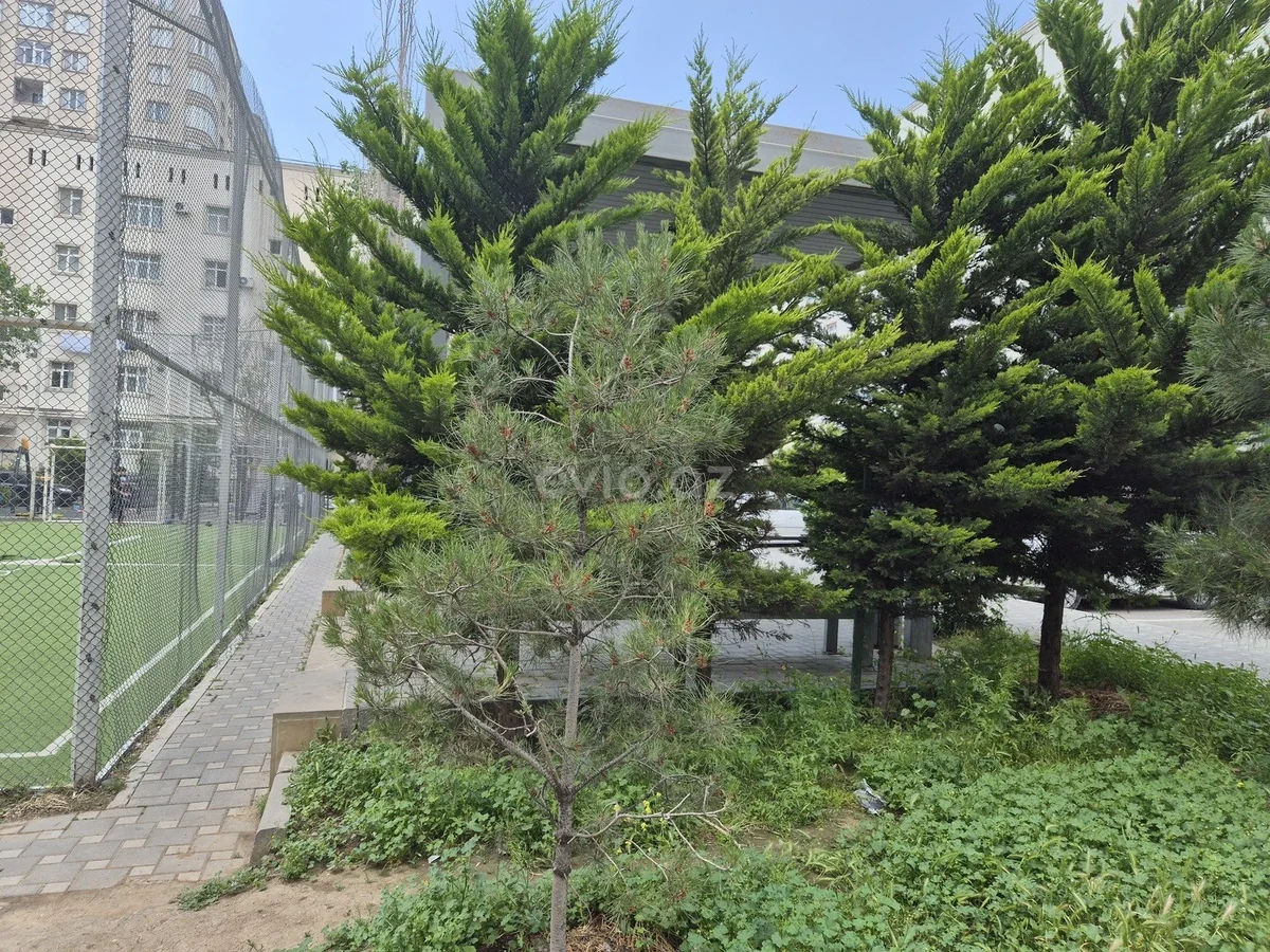 2 otaqlı orta təmirli mənzil satılır Badamdar qəsəbəsində — Mənzil, Bakı (11)