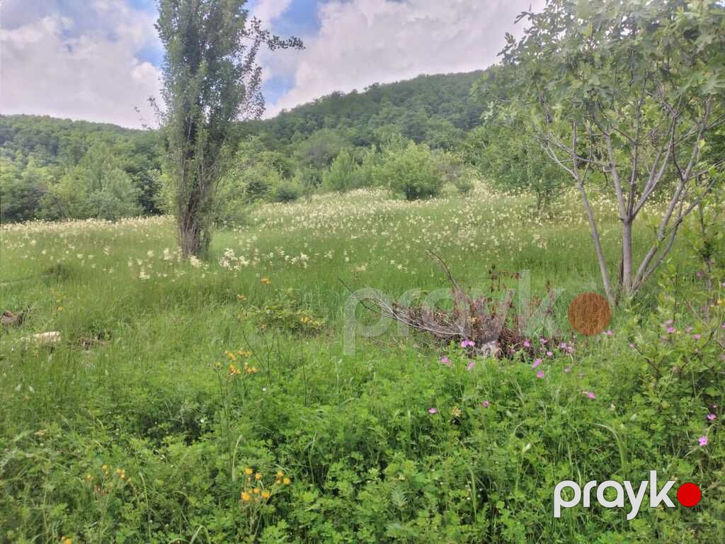 Satılır torpaq 50 sot — Torpaq, Qəbələ (2)