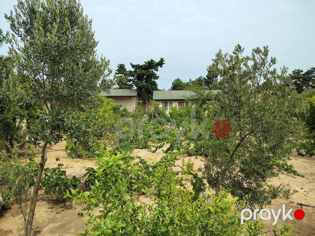 Satılır 7 otaqlı həyət evi/bağ evi 170 m² — Ev, villa, Bakı (7)