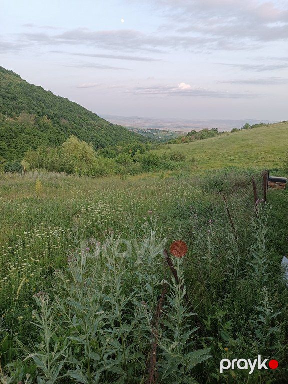 12 sot torpaq sahəsi, Şamaxı r — Torpaq, Şamaxı (2)