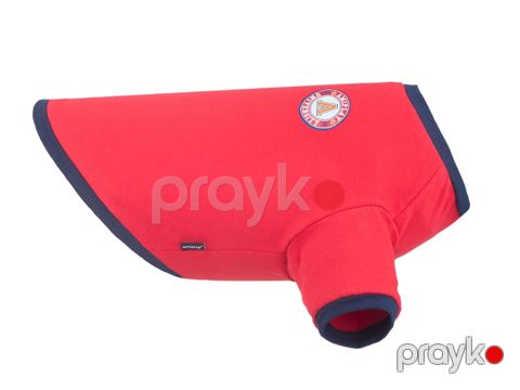İtlər üçün futbolka Amiplay Miami, 25 sm, ölçü XS, qırmızı — Bakı