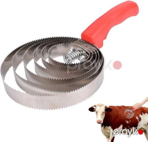 Fırça İL - 2498 — Bakı