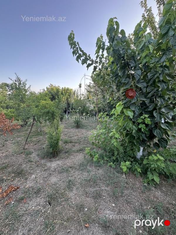 Satılır 7 otaqlı Həyət evi / Villa, 400 m², Qurd dərəsi — Ev, villa, Sumqayıt (12)