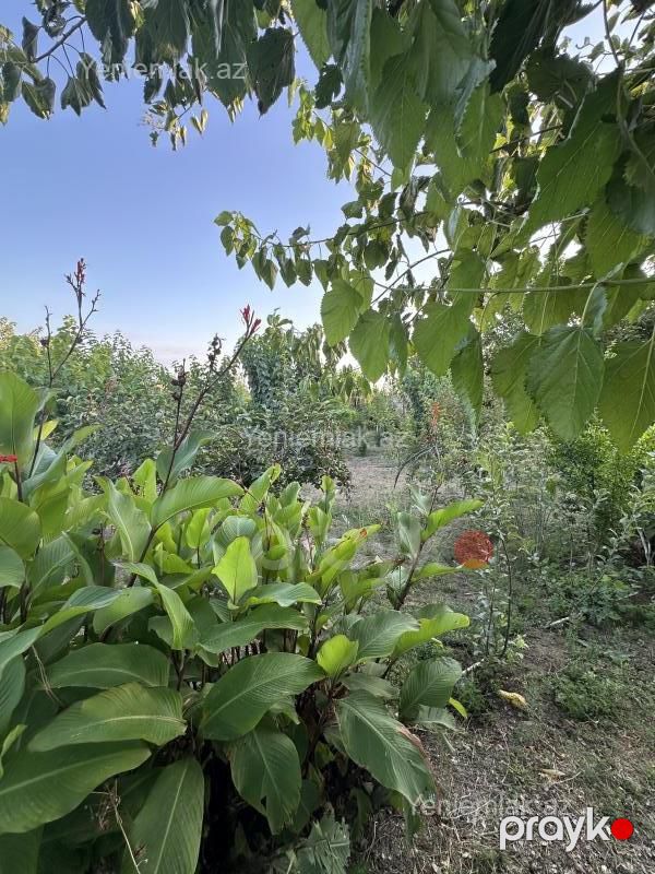 Satılır 7 otaqlı Həyət evi / Villa, 400 m², Qurd dərəsi — Ev, villa, Sumqayıt (7)