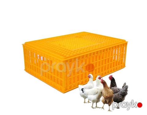 Qəfəs toyuq üçün, böyük, sarı, plastik TY-8830 — Bakı