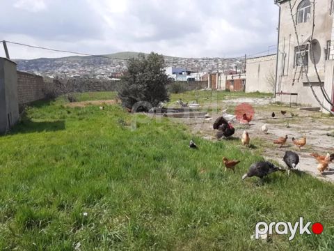 Həyət evi kirayə verilir, Sulutəpə qəs — Bakı