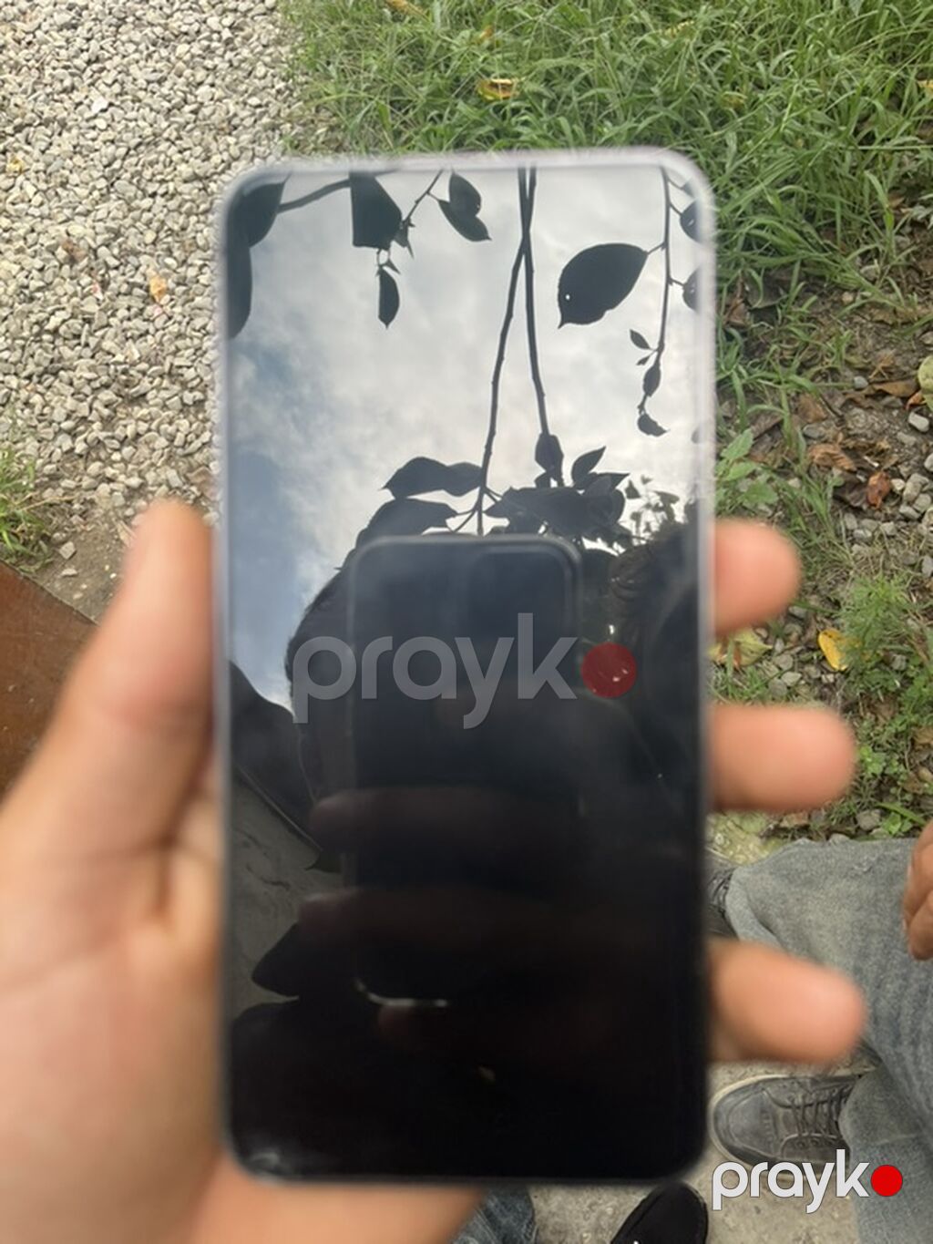 Samsung Galaxy S24, 256 GB, rəng - Boz, Barmaq izi — Samsung, Oğuz (3)