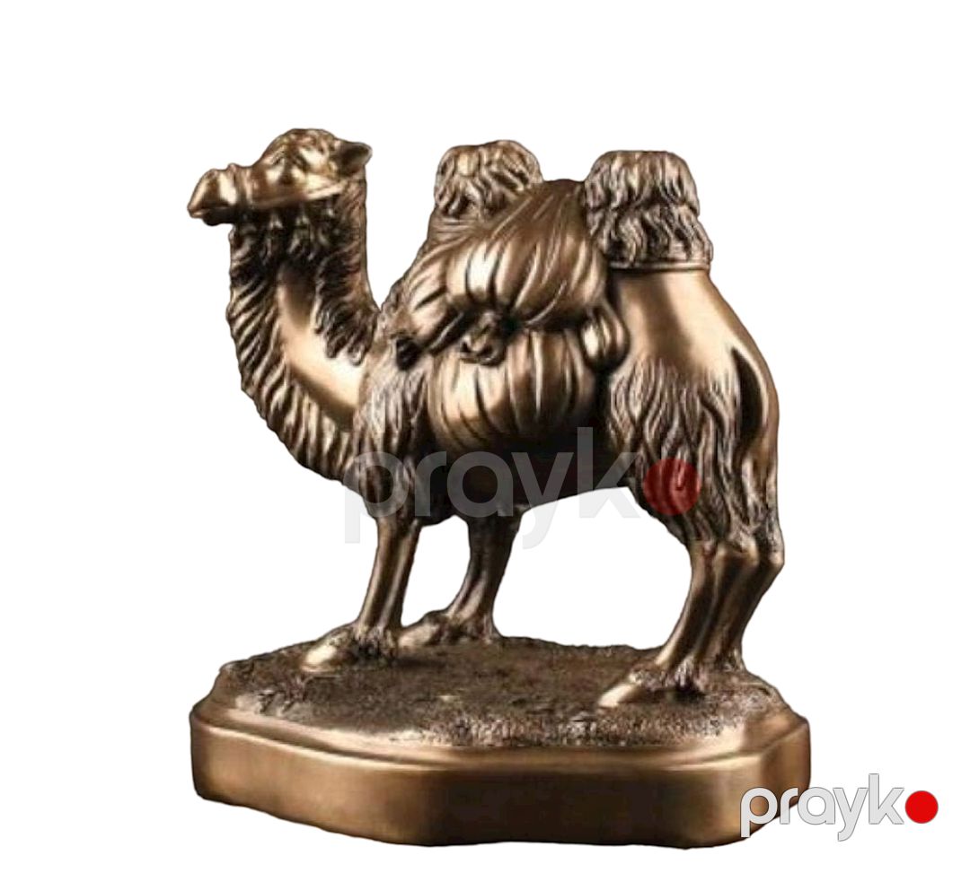 Heykəlcik Camel Decorative Arts, qatran/metal — Heykəlciklər və fiqurlar, Bakı (2)