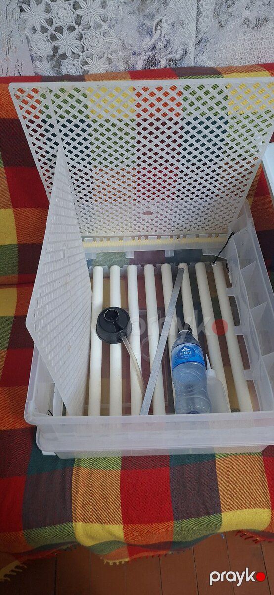 İnkubator — Biznes və avadanlıq, Bakı (2)