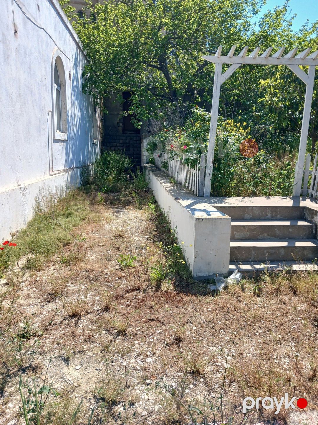 Satılır torpaq 9 sot — Torpaq, Bakı (5)