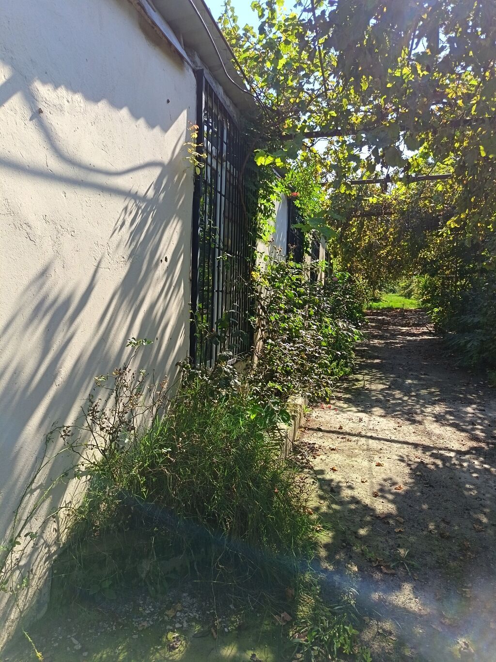 Yaşıl həyətli fərdi ev sahəsi - Geniş həyət: betonlanmış keçid və — Ev, villa, Bakı (9)