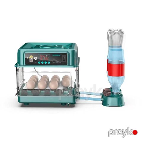 Inkubator 10 yumurtalıq — Bakı