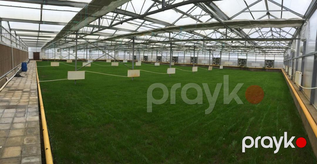 Satılır obyekt 3000 m² — Əmlak, Bakı (4)