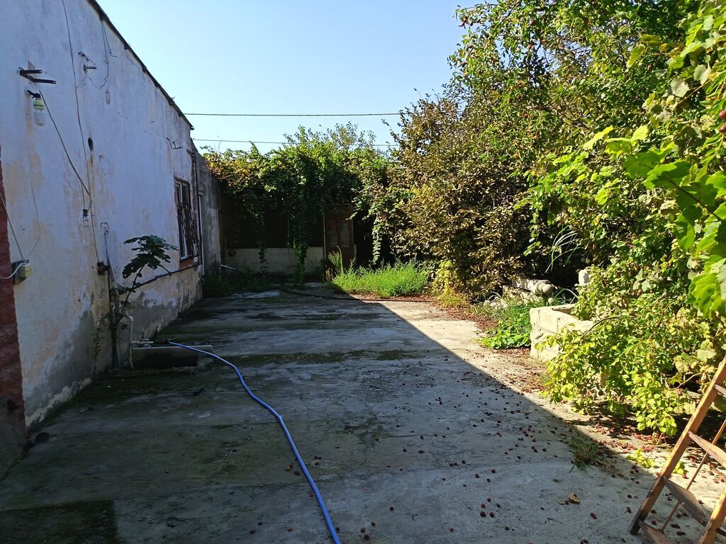 Yaşıl həyətli fərdi ev sahəsi - Geniş həyət: betonlanmış keçid və — Ev, villa, Bakı (6)