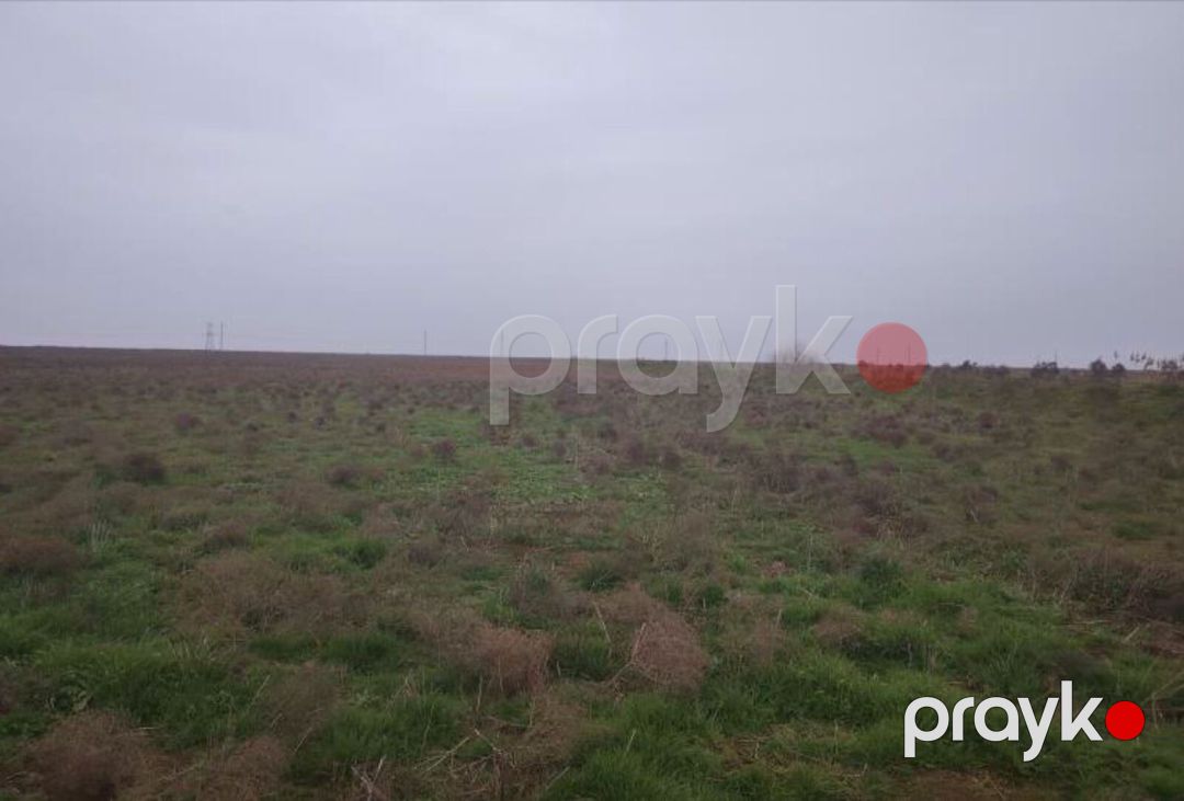Satılır torpaq 2312 sot — Torpaq, Biləsuvar (6)