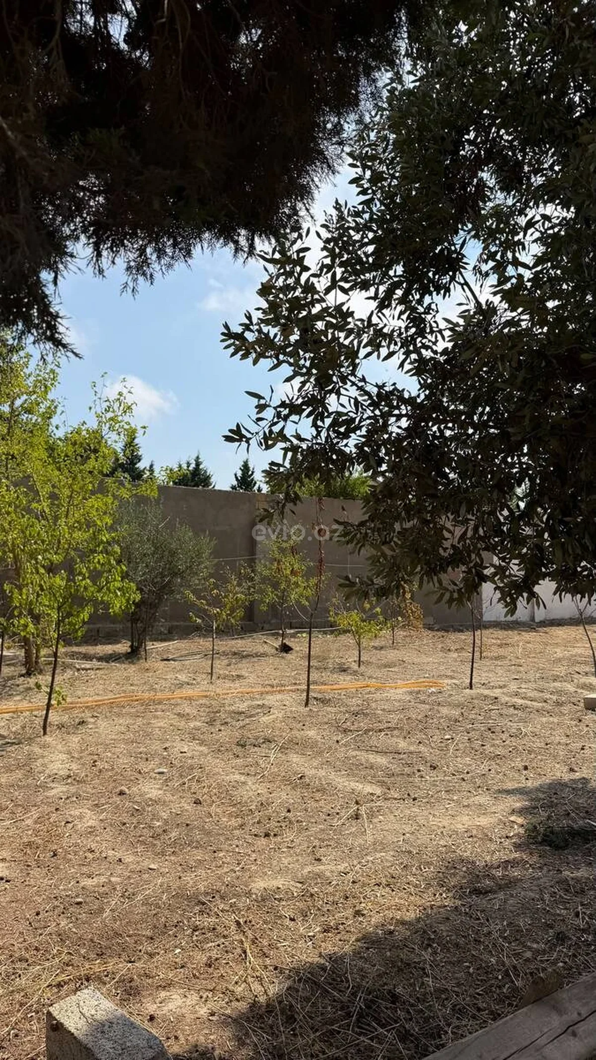 Torpaq sahəsi satılır Görədildə — Torpaq, Abşeron (3)