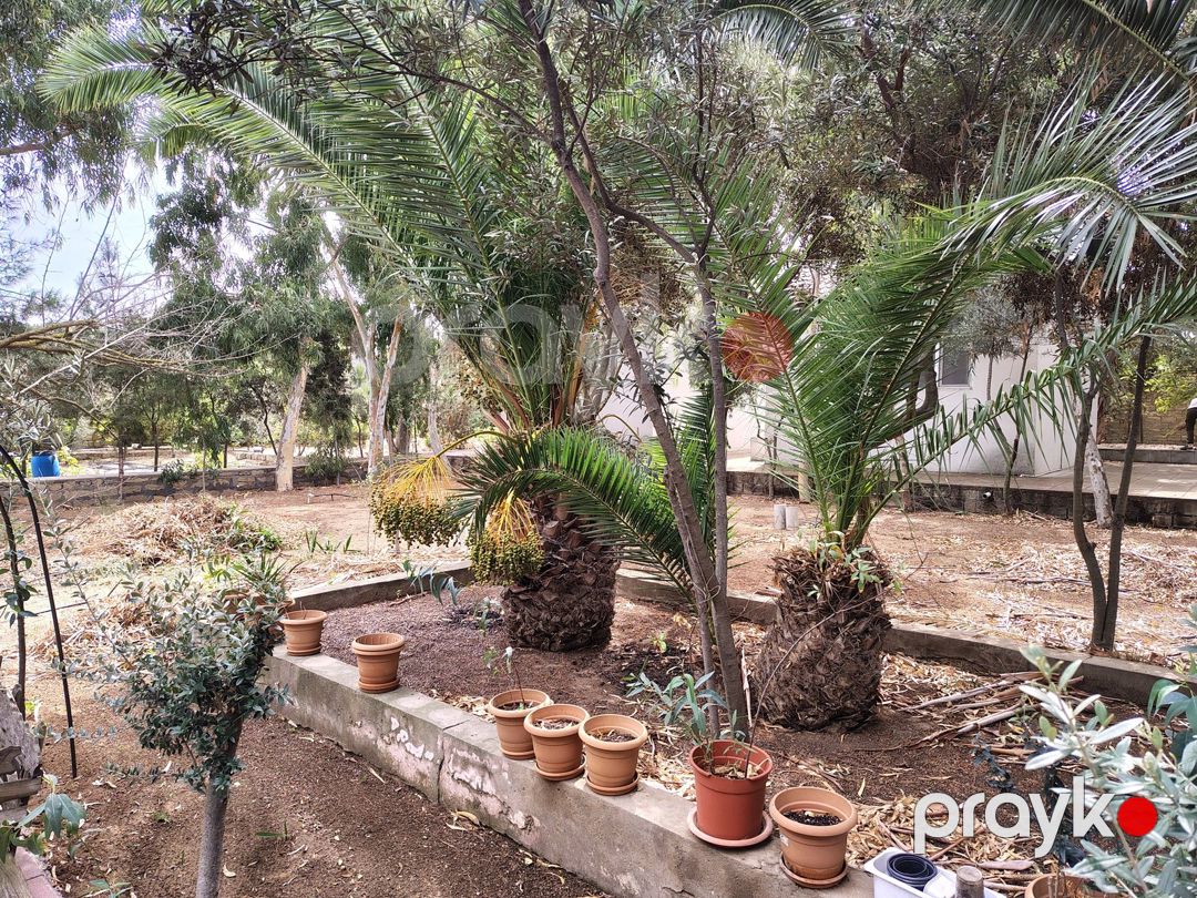 Satılır 7 otaqlı həyət evi/bağ evi 170 m² — Ev, villa, Bakı (2)