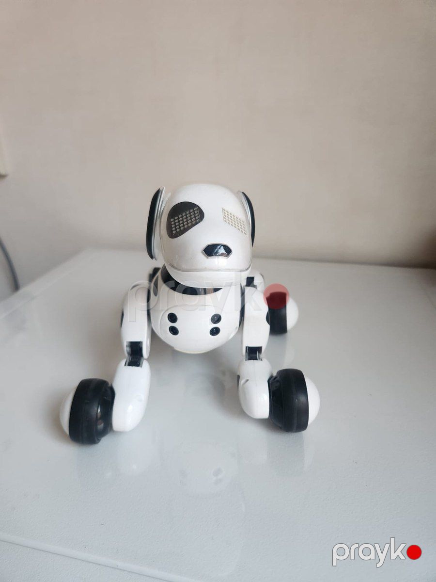 Robot it Zoomer — Oyuncaqlar, Bakı (5)