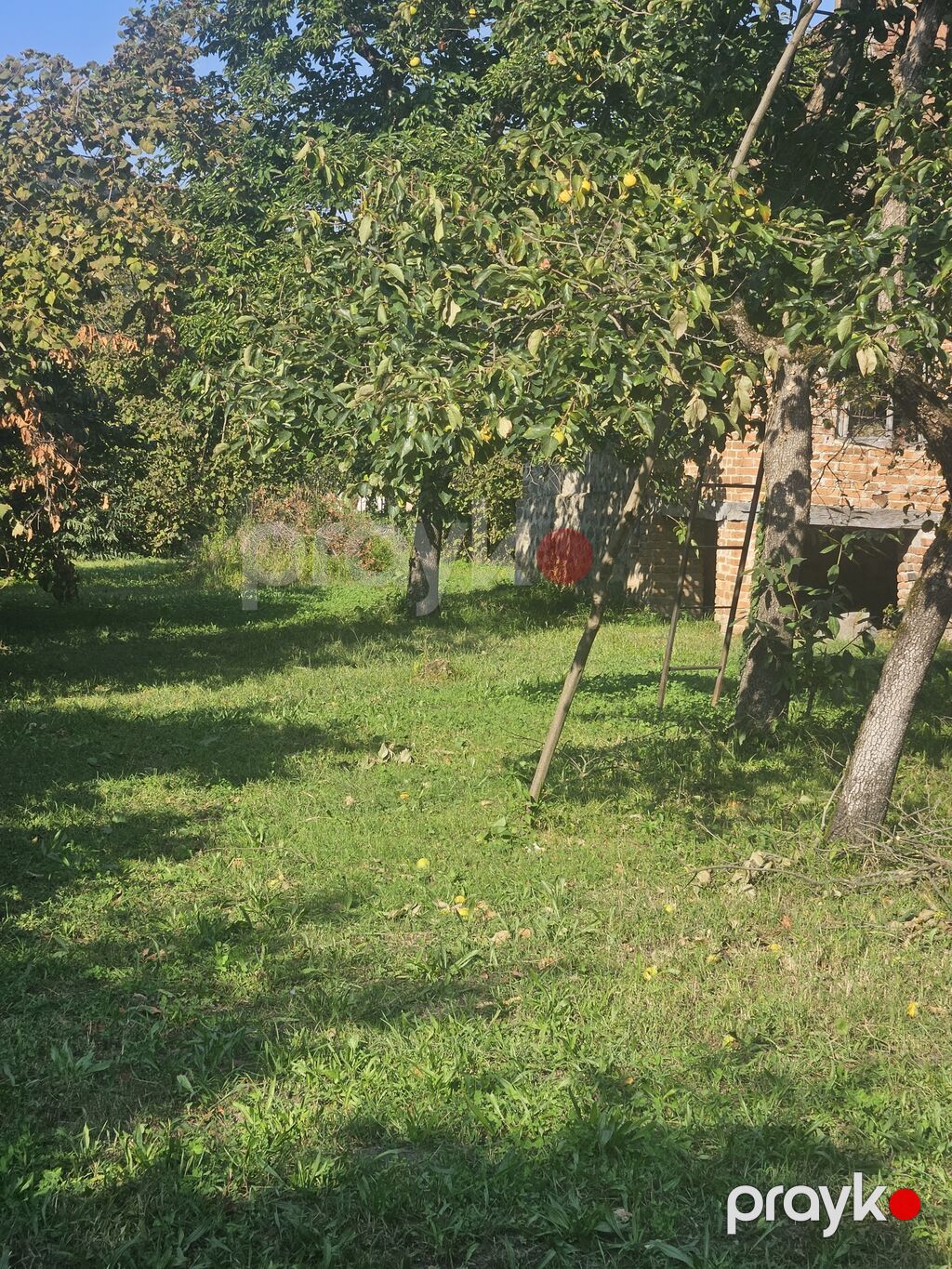 Balaken rayon Katex kendi merkezde yerlesen 35 sot torpaq satilir. 13 — Ev, villa, Zaqatala (4)