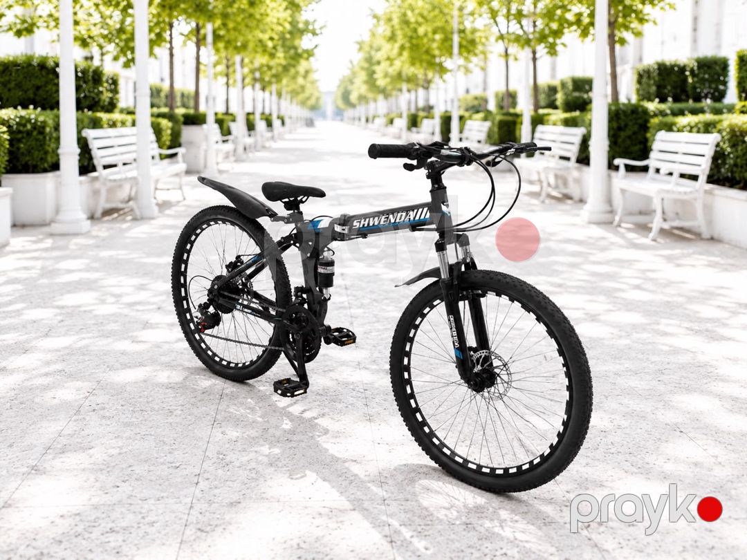 Qatlanan velosiped Shwenda 24 Tünd boz — Velosipedlər, Bakı (2)
