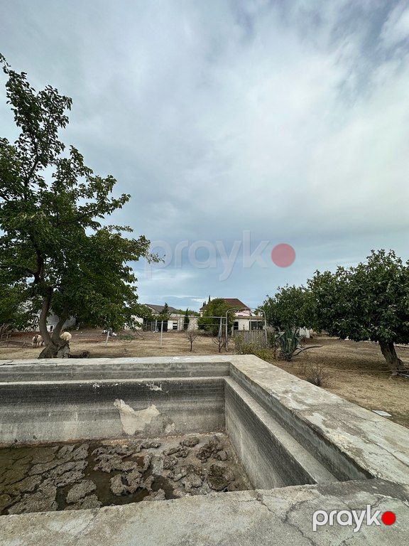 12 sot torpaq sahəsi, Xəzər r — Torpaq, Bakı (2)