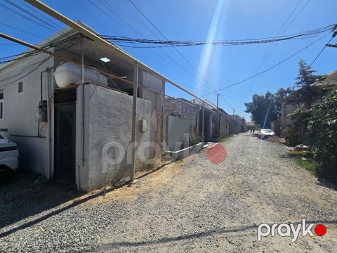 Həyət evi, Binə qəs — Bakı