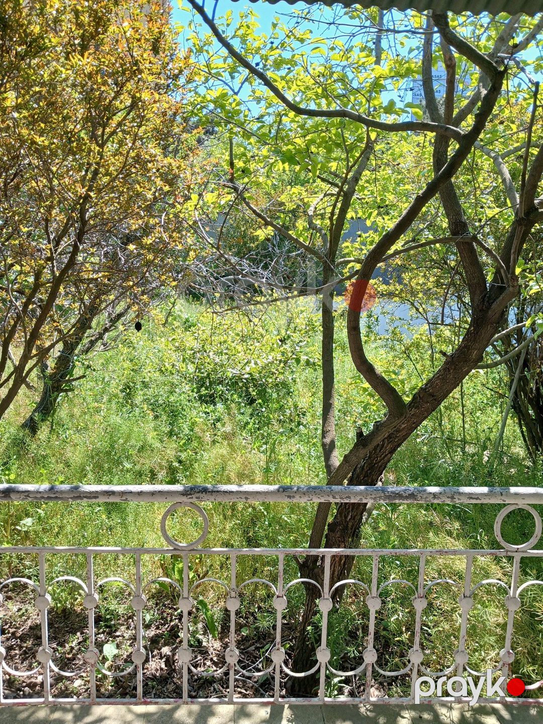 Satılır torpaq 9 sot — Torpaq, Bakı (6)