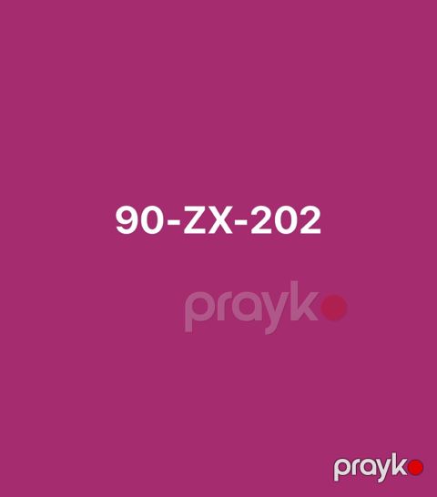Avtomobil qeydiyyat nişanı - 90-ZX-202 — Bakı