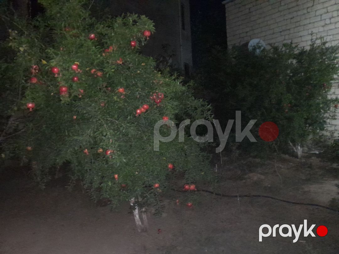 Satılır 3 otaqlı həyət evi/bağ evi 110 m² — Ev, villa, Bakı (3)