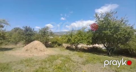 12 sot torpaq sahəsi, İsmayıllı r — İsmayıllı