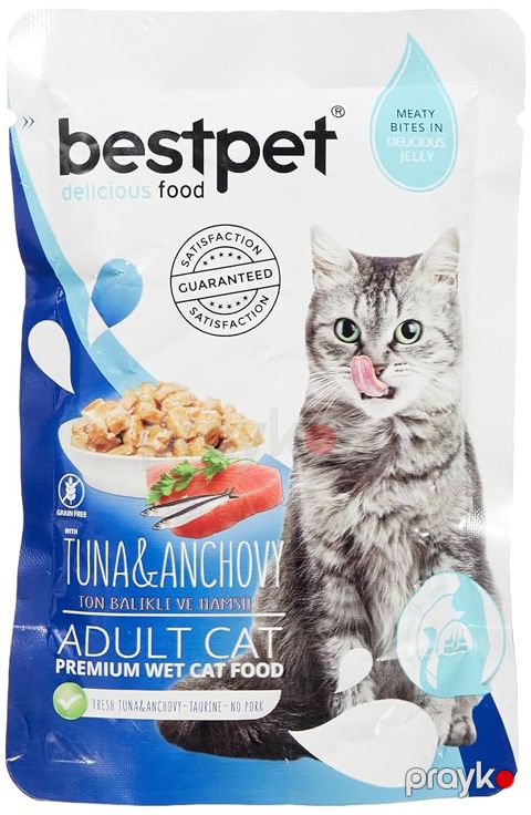 Nəm yem pişiklər üçün Bestpet ton balığı və ançous dadı ilə, 85 q — Bakı