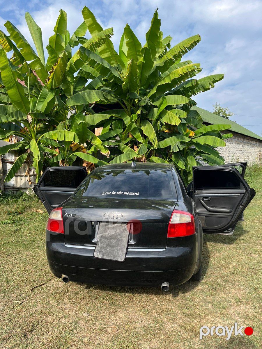 Audi A4, 2003 il — Avtomobillər, Qax (5)
