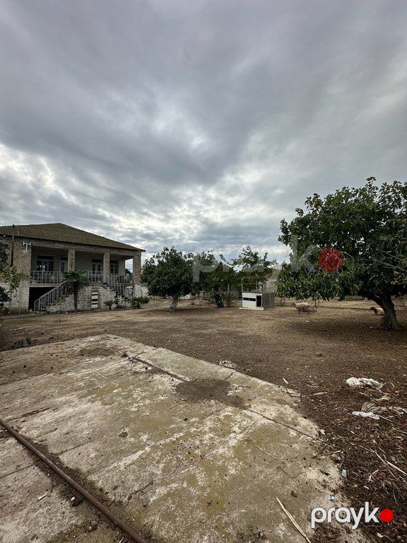 12 sot torpaq sahəsi, Xəzər r — Torpaq, Bakı (9)